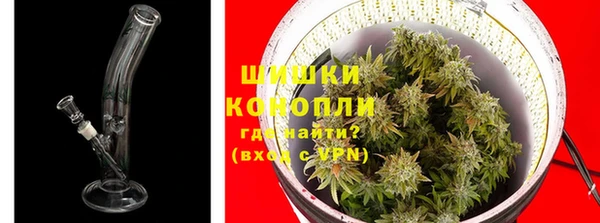 spice Аркадак