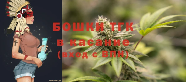 spice Аркадак