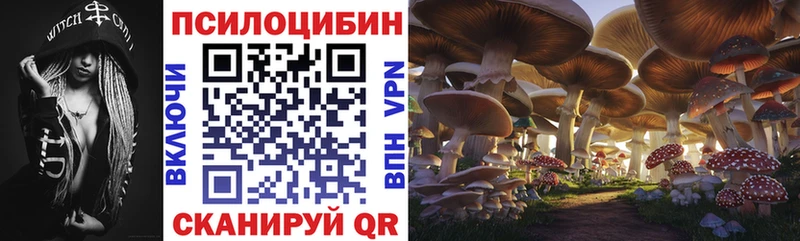 Псилоцибиновые грибы Psilocybine cubensis  где купить   Красный Кут 
